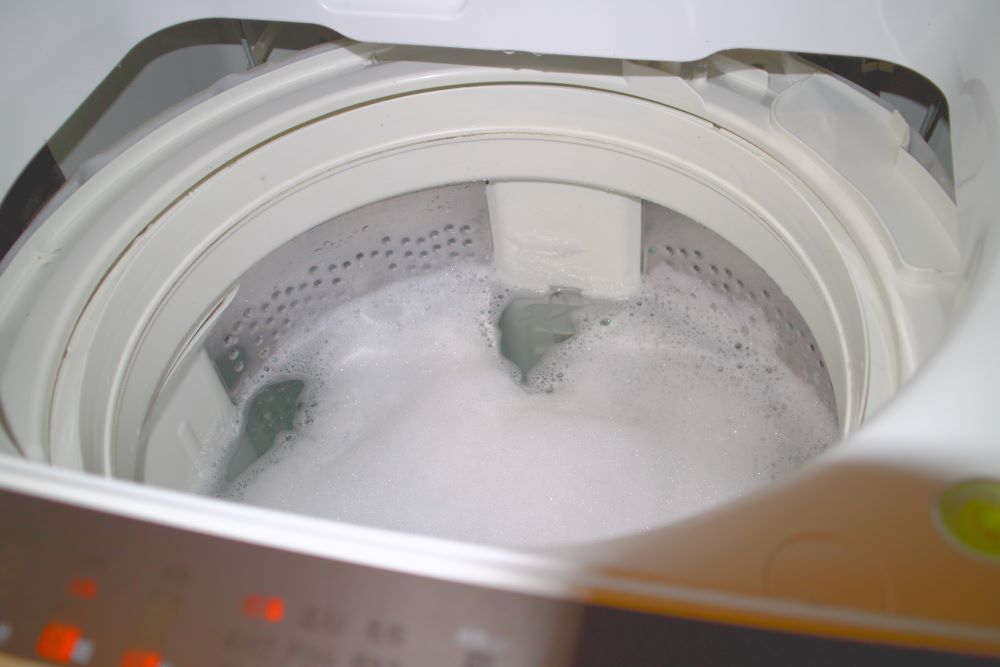 カビごと洗濯機で洗ってない? プロのハウスクリーニングでスッキリ